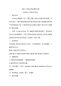七年级下册Lesson 3  A Visit to Xi'an教案