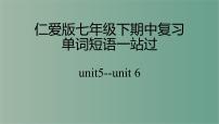 Units5-6重点单词短语一站过期中复习课件2022学年仁爱版英语七年级下册