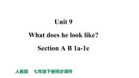 人教新目标七年级英语下册--Unit 9 What does he look like_ Sectin B1a-1e课件+ 音频