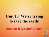 人教新目标 (Go for it) 版九年级全册Section B教学ppt课件