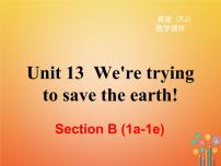 初中英语人教新目标 (Go for it) 版九年级全册Unit 13 We’re trying to save the earth!Section B教学ppt课件