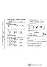 河南省虞城县几校联考2021-2022学年七年级下学期期中教学质量检测B英语试题(有答案)