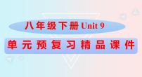 Unit9八年级英语下册精品课件（人教版）