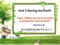 初中英语仁爱科普版九年级上册Unit 2 Saving the earth.Topic 2  All these problems are very serious.教课内容ppt课件