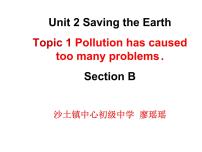 初中英语仁爱科普版九年级上册Topic 1  Pollution has causes too many problems.课前预习课件ppt