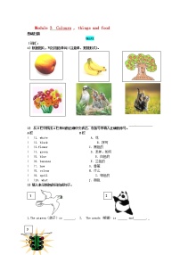 初中英语外研版 (新标准)七年级上册Module 3 My English book综合与测试复习练习题