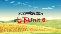 2022年中考英语一轮复习：Unit6课件仁爱版七年级下册（仁爱版）