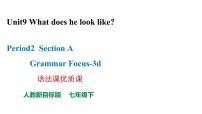 初中人教新目标 (Go for it) 版Unit 9 What does he look like?Section A多媒体教学课件ppt