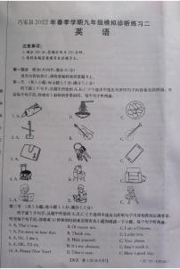 云南省昭通市巧家县2021-2022学年九年级下学期模拟诊断练习英语试题（二）（有答案）