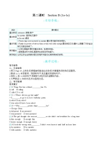 初中英语人教新目标 (Go for it) 版九年级全册Section B第三课时教案
