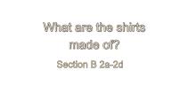 2020-2021学年Unit 5 What are the shirts made of?Section B背景图ppt课件