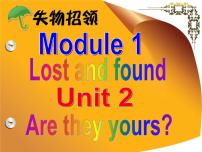 初中英语外研版 (新标准)七年级下册Unit 2 Are  they yours?教课ppt课件