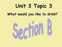 初中英语仁爱科普版七年级上册Topic 3 What would you like to drink?授课课件ppt