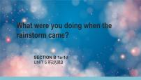人教新目标 (Go for it) 版Unit 5 What were you doing when the rainstorm came?Section B说课ppt课件