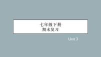 2022年人教版英语七年级下册期末复习课件-Unit 3