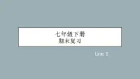 2022年人教版英语七年级下册期末复习课件-Unit 3