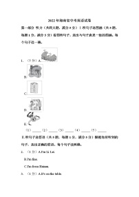 2022年海南省中考英语试卷解析版