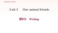 牛津版 (深圳&广州)七年级下册（2012秋审查）Module2 Man’s best friendsUnit 3 Our animal friends.习题ppt课件