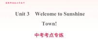 安徽专用牛津译林版七年级英语下册unit3 welcome to sun shine town中考考点专练课件