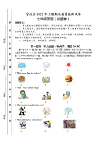 湖南省永州市宁远县2021-2022学年七年级下学期期末质量监测英语试题(word版含答案)