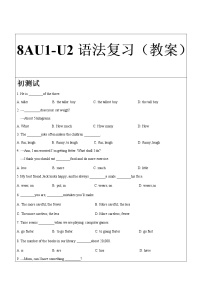 初中英语牛津译林版八年级上册Grammar教案设计