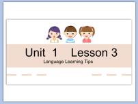 初中英语北师大版九年级全册Lesson 3 Language Learning Tips课堂教学课件ppt