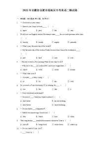 2022年安徽省合肥市瑶海区中考英语二模试卷（含解析）