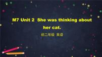 初中英语外研版 (新标准)八年级上册Unit 2 She was thinking about her cat.评课课件ppt