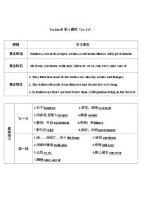 人教新目标 (Go for it) 版八年级下册Section B第4课时教案