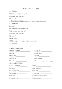 仁爱科普版八年级上册Topic 2 I'll kick you the ball again.学案