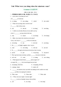 专题09 unit 5 Grammar语法过去进行时-2021-2022学年八年级下册单元重难点易错题精练（人教版）