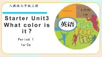 人教新目标 (Go for it) 版七年级上册Unit 3 What color is it ?教学演示课件ppt