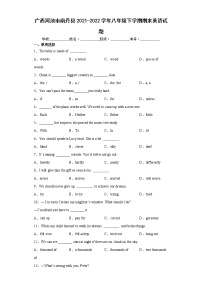 广西河池市南丹县2021-2022学年八年级下学期期末英语试题(word版含答案)