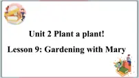 初中冀教版Lesson 9 Gardening with Mary图文ppt课件