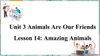 2020-2021学年Unit 3 Animals Are Our FriendsLesson 14 Amazing Animals教课ppt课件