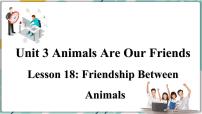 初中英语冀教版八年级下册Lesson 18 Friendship Between Animals教课ppt课件