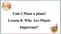 冀教版八年级下册Lesson 8 Why Are Plants Important?课堂教学课件ppt