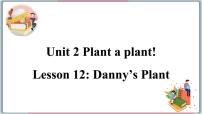 初中英语Lesson 12 Danny's Plant课文内容ppt课件