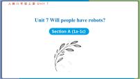 人教新目标 (Go for it) 版八年级上册Section A授课ppt课件