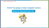 初中英语人教新目标 (Go for it) 版八年级上册Section A评课课件ppt