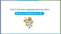 初中英语人教新目标 (Go for it) 版八年级上册Section A课文配套课件ppt
