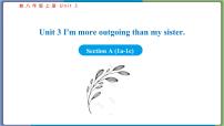 人教新目标 (Go for it) 版八年级上册Section A备课ppt课件