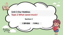 仁爱科普版Topic 2 What sweet music!完整版ppt课件