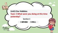 初中英语仁爱科普版八年级上册Unit 3 Our HobbiesTopic 3 What were you doing at this time yesterday?完美版ppt课件