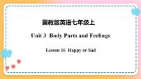 冀教版七年级上册Lesson 16  Happy or Sad优秀课件ppt