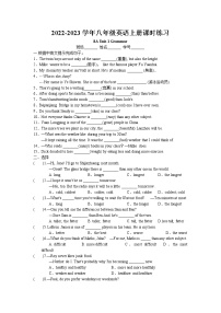 初中英语牛津译林版八年级上册Grammar课时训练