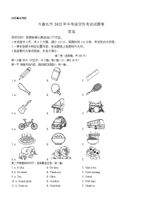 2022年贵州省六盘水市中考模拟英语试题(word版无答案)