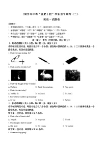 2022年安徽省合肥市十校中考三模英语试题(word版无答案)