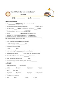 初中人教新目标 (Go for it) 版Section B精品课后测评