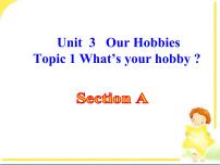 仁爱科普版八年级上册Topic 1 What's your hobby?多媒体教学ppt课件